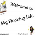 Welcome to My Flocking Life